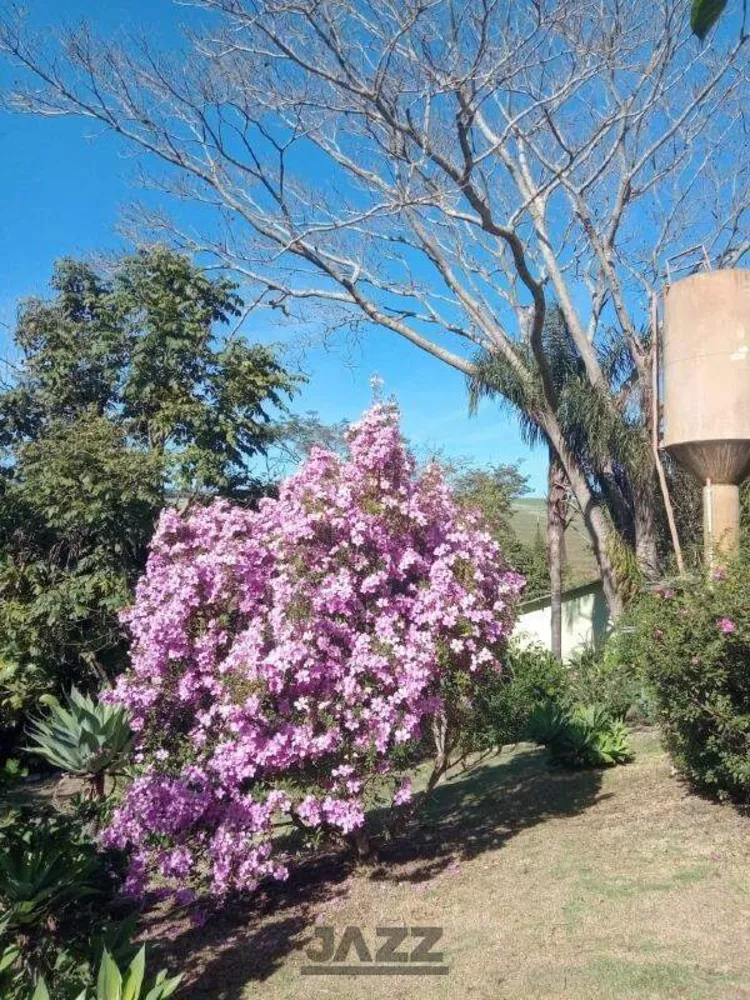 Chácara, 5 quartos, 9070 m² - Foto 3