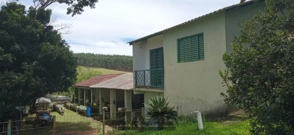 Chácara, 5 quartos, 9070 m² - Foto 6