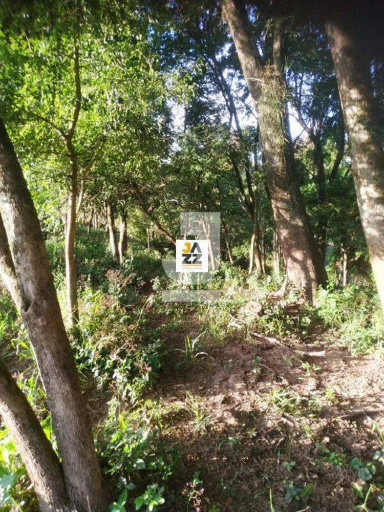 Sítio, 2 hectares - Foto 1