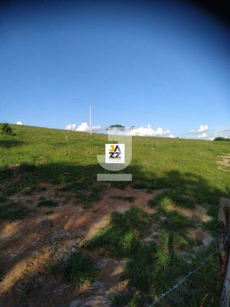 Sítio, 2 hectares - Foto 4