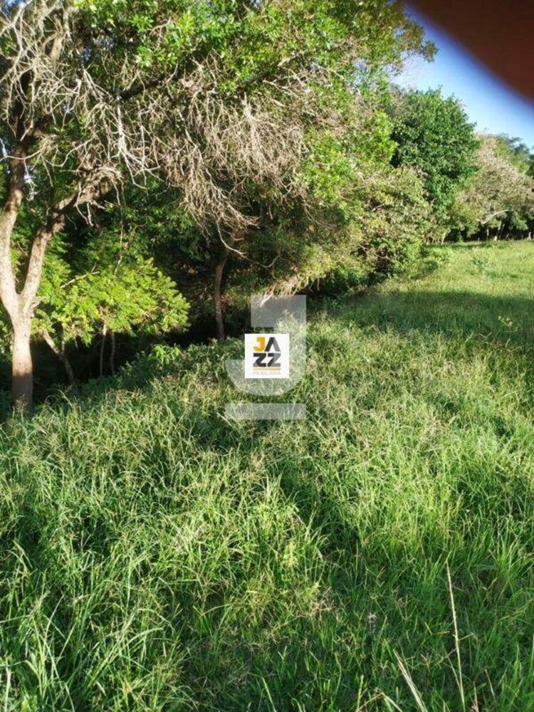 Sítio, 2 hectares - Foto 2