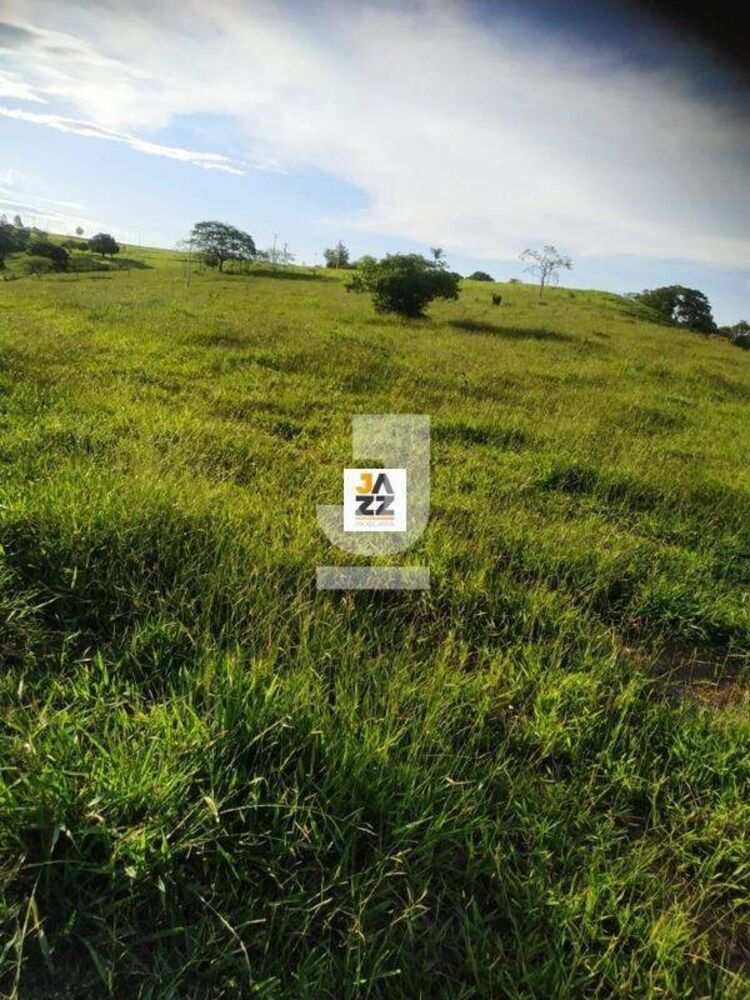 Sítio, 2 hectares - Foto 3