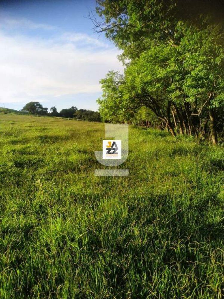 Sítio, 2 hectares - Foto 1