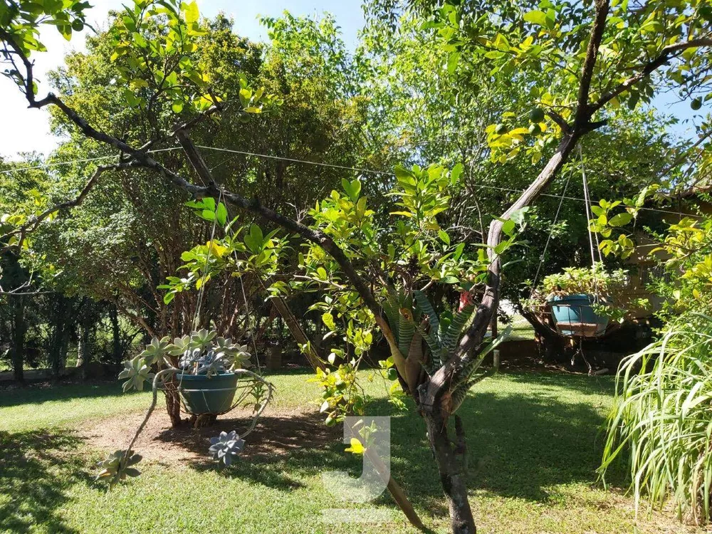 Fazenda à venda com 1 quarto, 250m² - Foto 7