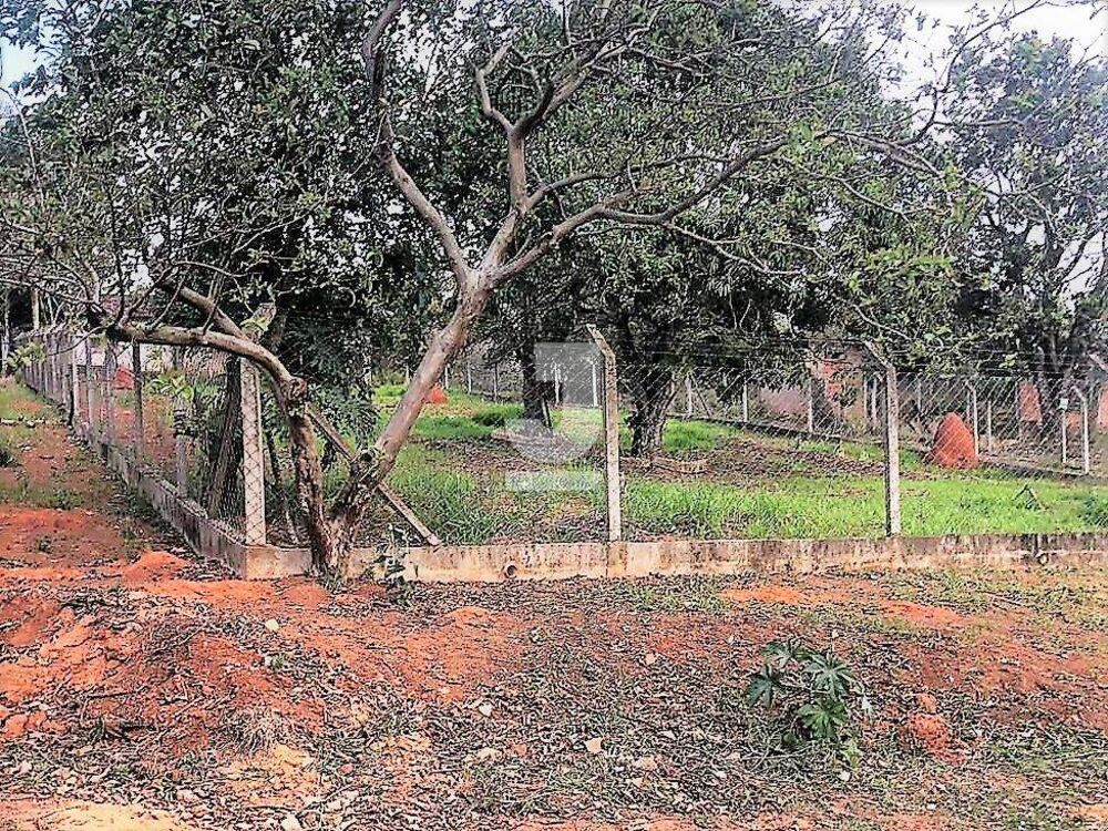 Terreno, 983 m² - Foto 4