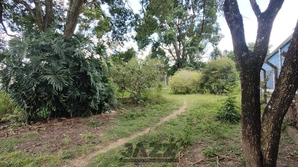Terreno, 3162 m² - Foto 5