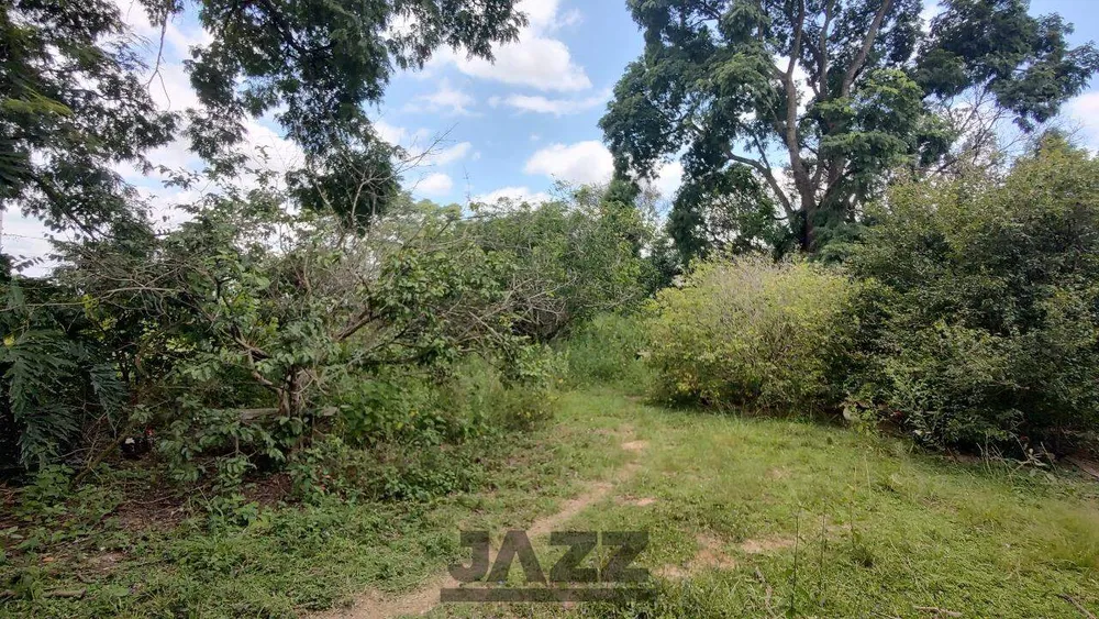 Terreno, 3162 m² - Foto 6