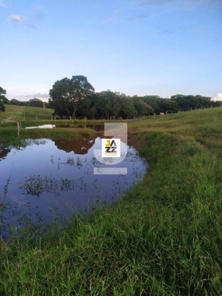 Sítio, 2 hectares - Foto 3