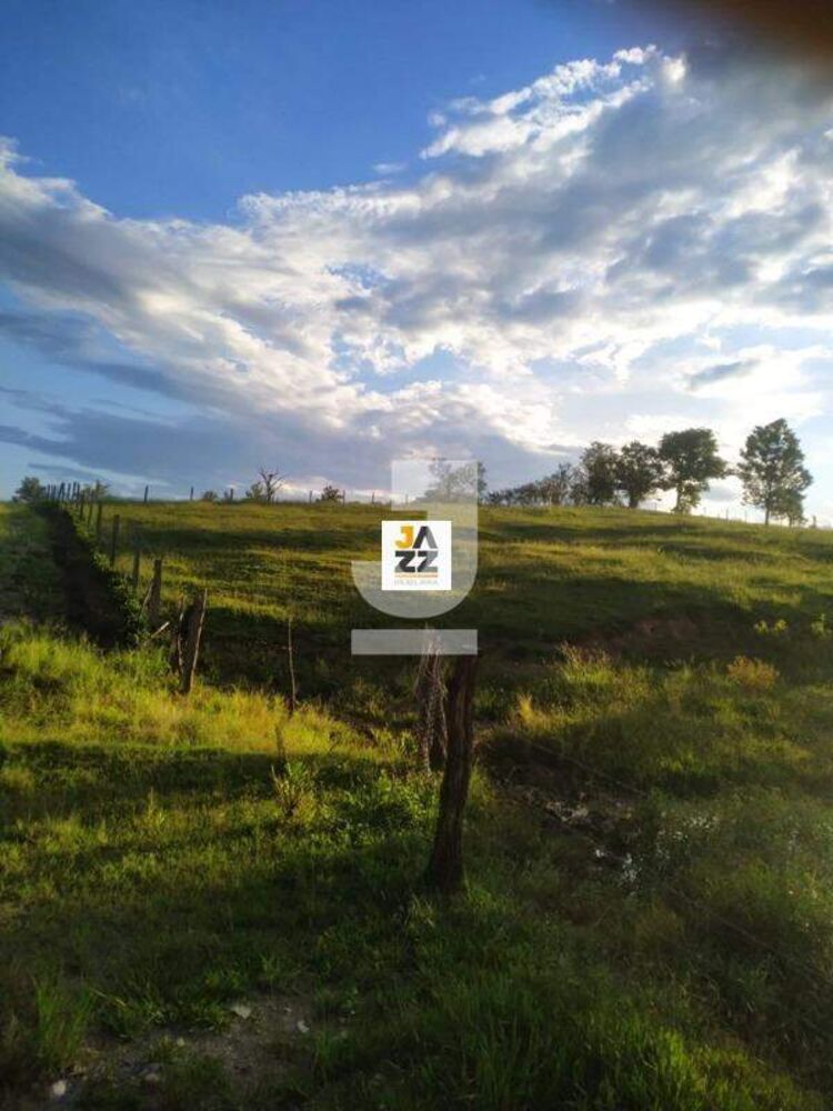 Sítio, 2 hectares - Foto 2