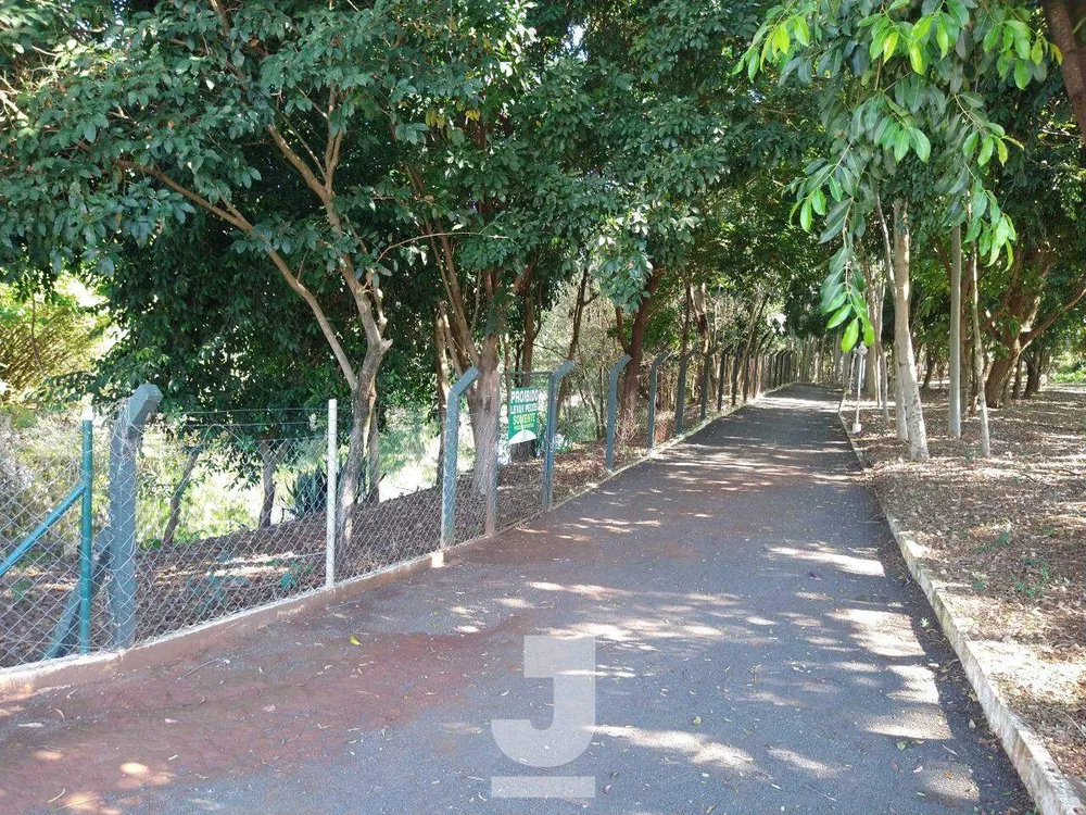 Casa, 4 quartos, 306 m² - Foto 32