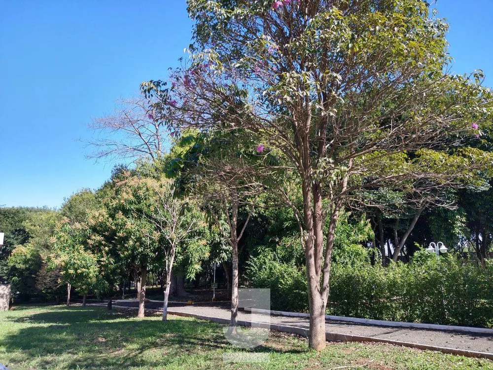 Casa, 4 quartos, 306 m² - Foto 36