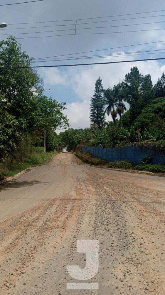 Chácara, 3 quartos, 5000 m² - Foto 2