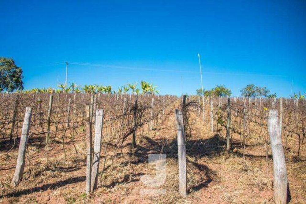 Terreno, 3 hectares - Foto 3