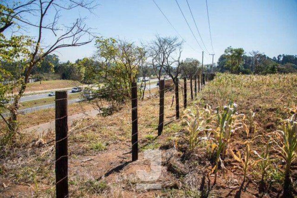 Terreno, 3 hectares - Foto 1