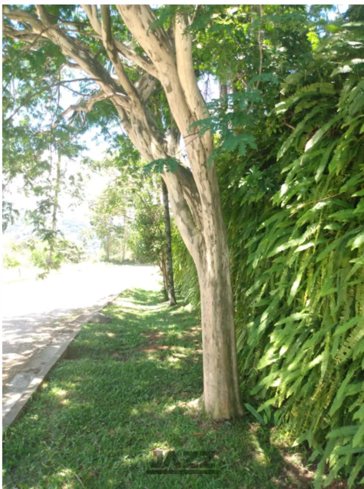 Casa, 2 quartos, 113 m² - Foto 12