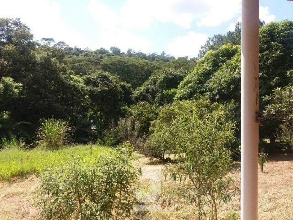 Fazenda à venda com 4 quartos, 260m² - Foto 4