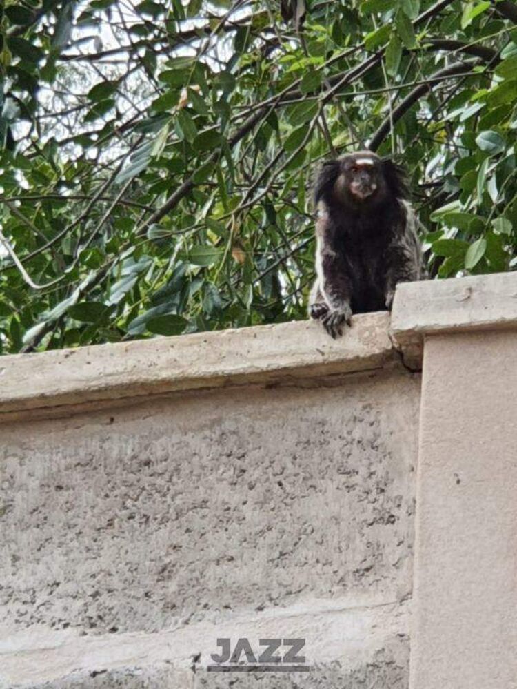 Terreno, 286 m² - Foto 14