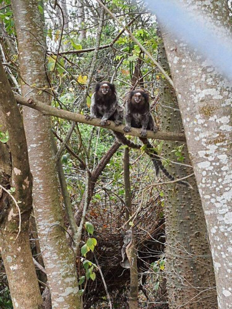 Terreno, 286 m² - Foto 19