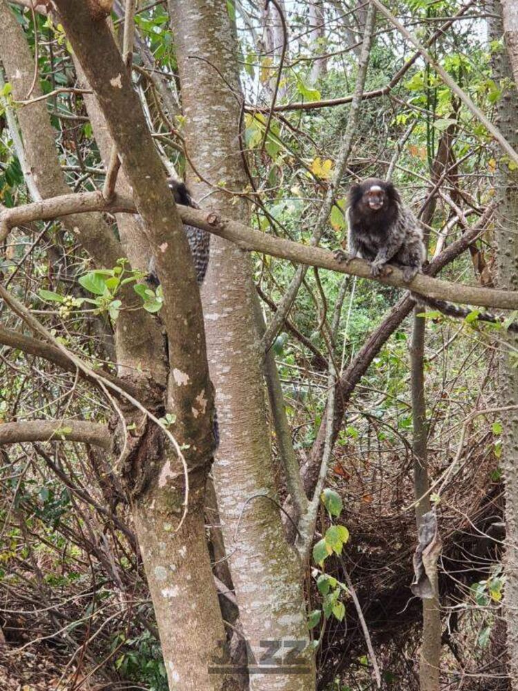 Terreno, 286 m² - Foto 20