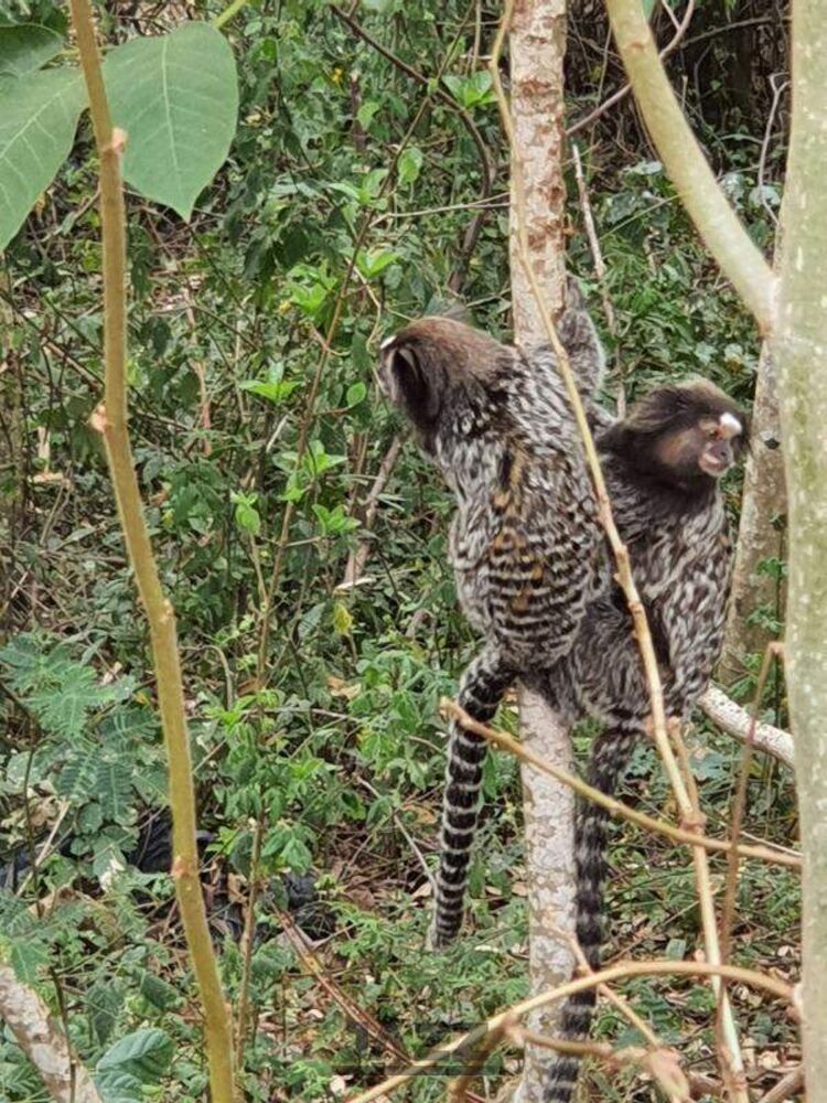 Terreno, 286 m² - Foto 18