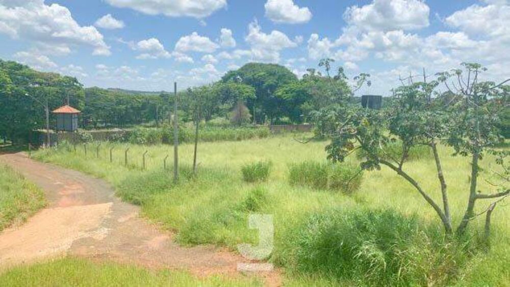 Terreno, 2 hectares - Foto 6