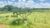 Terreno, 2 hectares - Foto 1