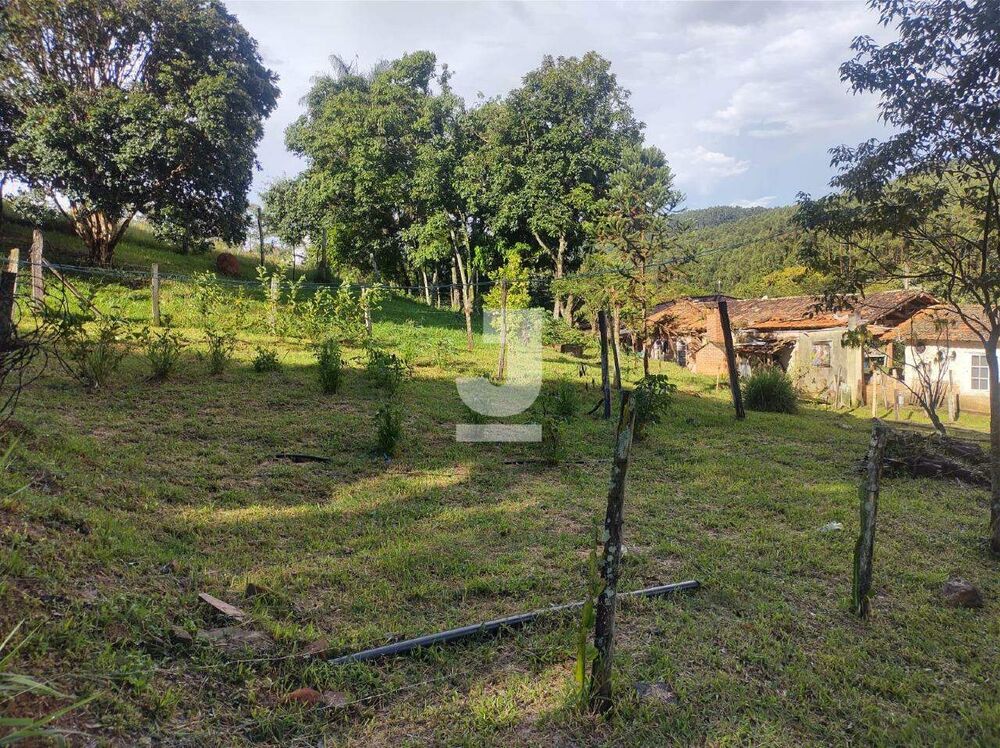 Sítio, 8 quartos - Foto 2