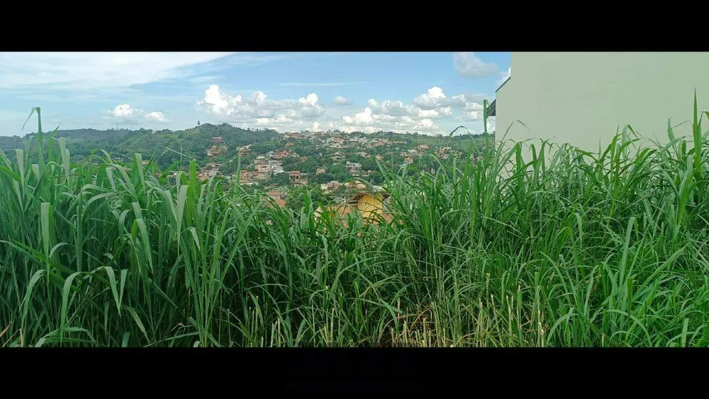 Terreno, 462 m² - Foto 8
