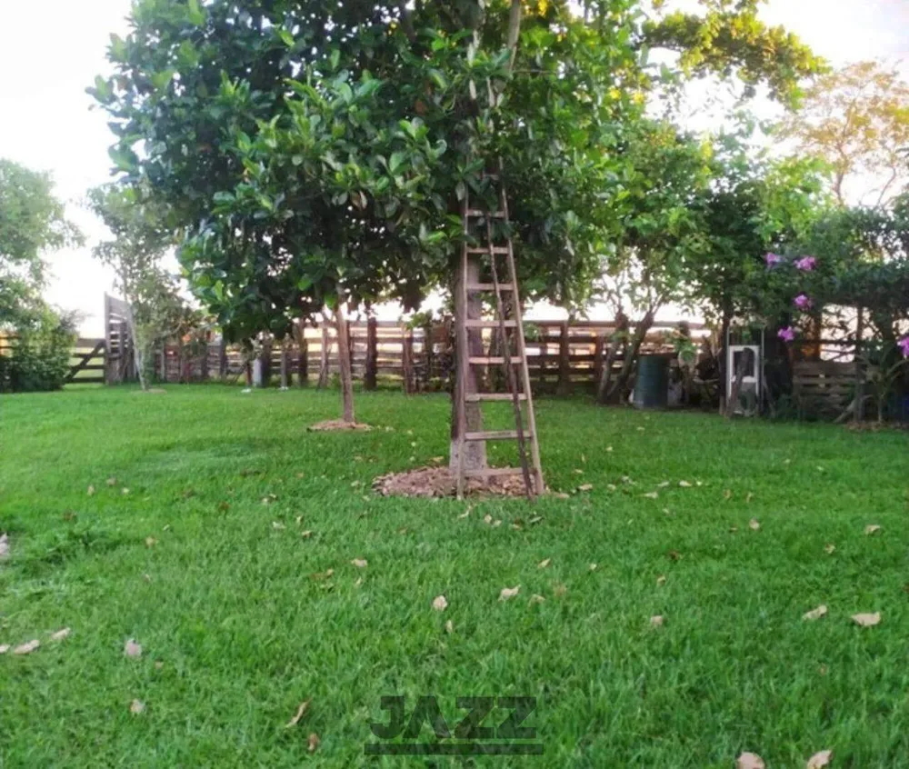 Chácara, 3 quartos, 2 hectares - Foto 11