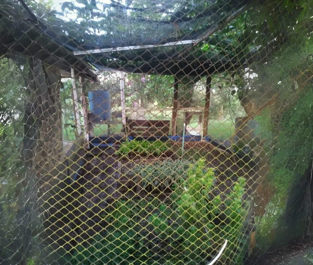 Chácara, 3 quartos, 2 hectares - Foto 12