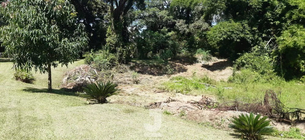 Fazenda à venda com 4 quartos, 400m² - Foto 4