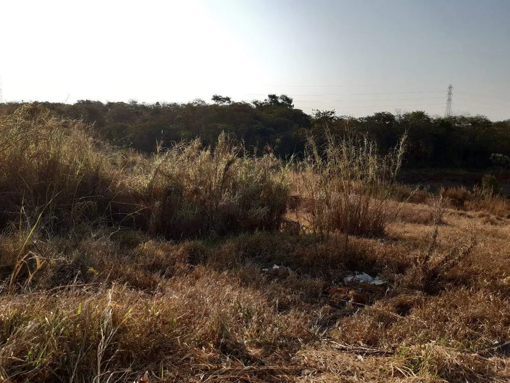 Terreno, 2500 m² - Foto 5