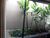 Casa, 4 quartos, 338 m² - Foto 11