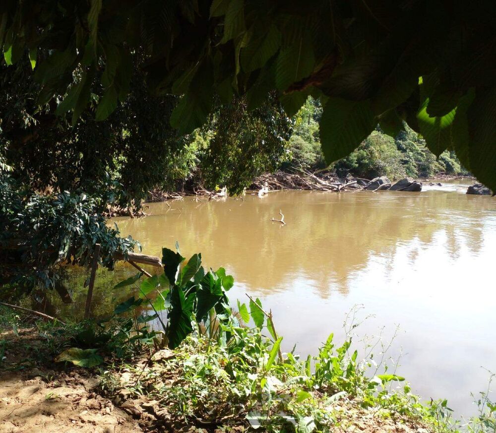 Chácara à venda com 3 quartos, 250m² - Foto 1