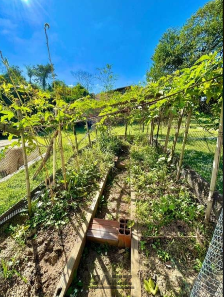 Chácara, 3 quartos, 6472 m² - Foto 1