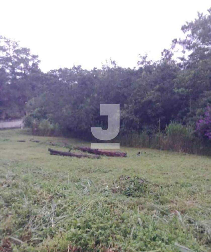 Terreno, 4620 m² - Foto 4