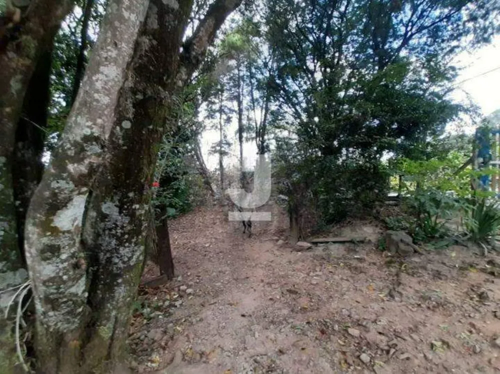 Terreno, 6600 m² - Foto 7