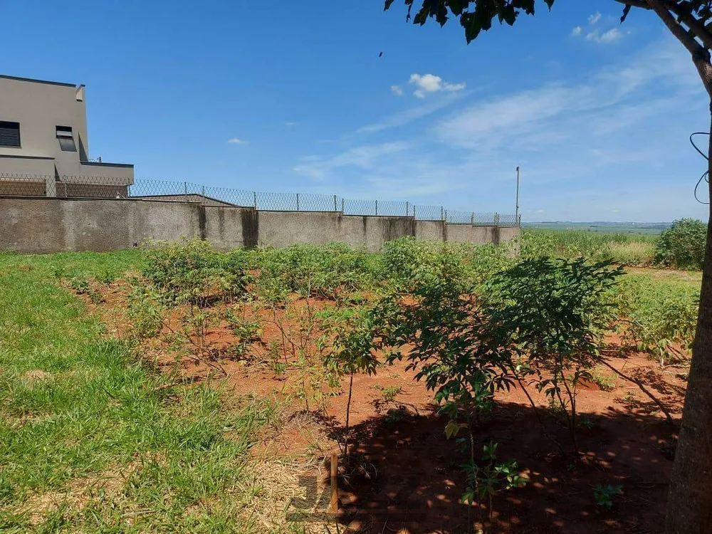 Terreno, 250 m² - Foto 3