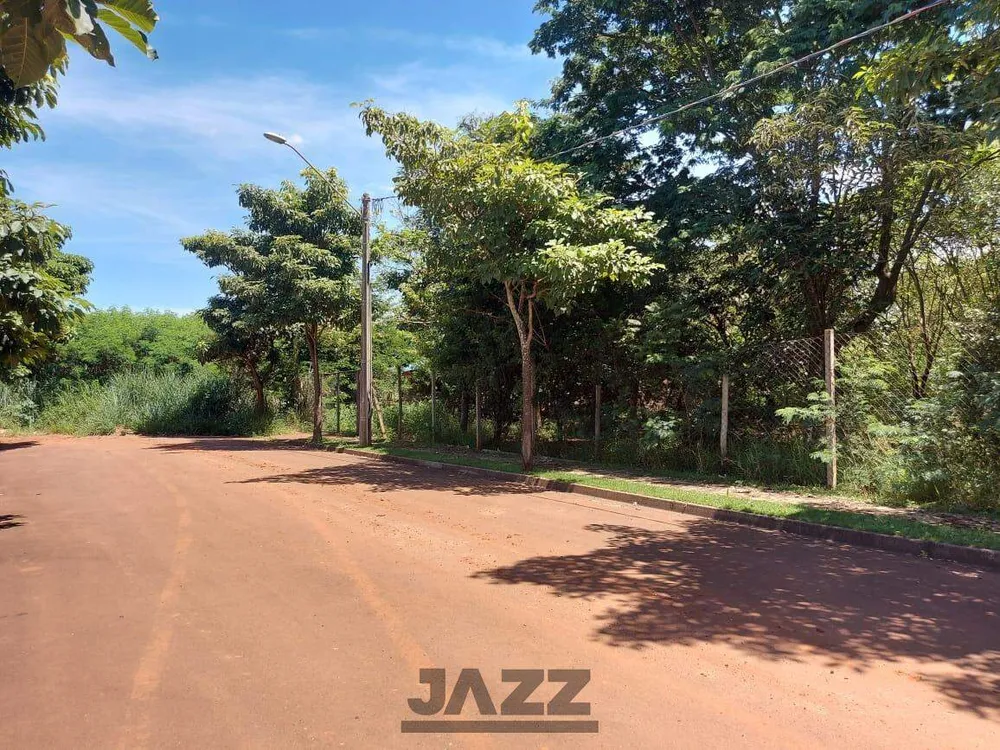 Terreno, 250 m² - Foto 4