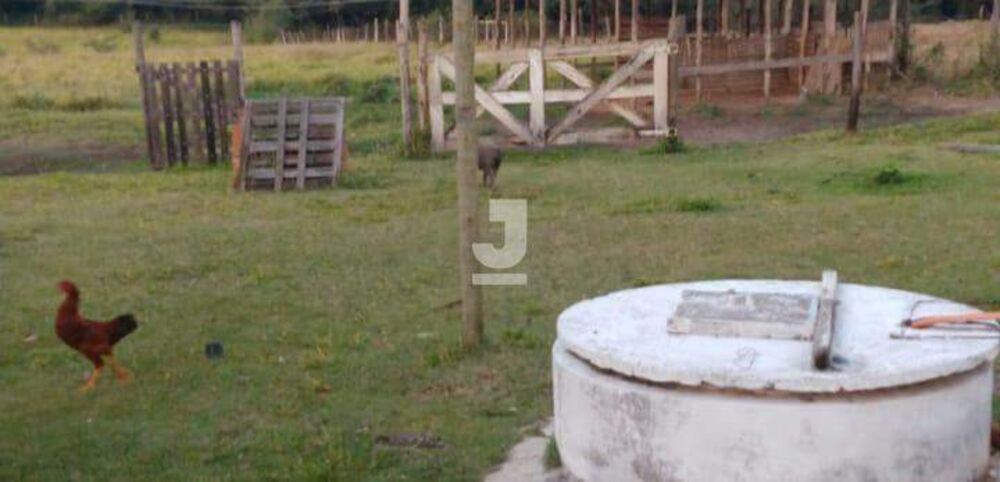 Chácara, 3 quartos, 2 hectares - Foto 16