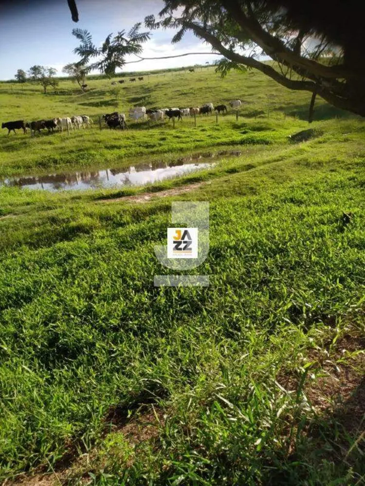 Sítio, 2 hectares - Foto 6