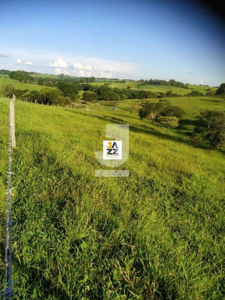 Sítio à venda, 20850m² - Foto 6