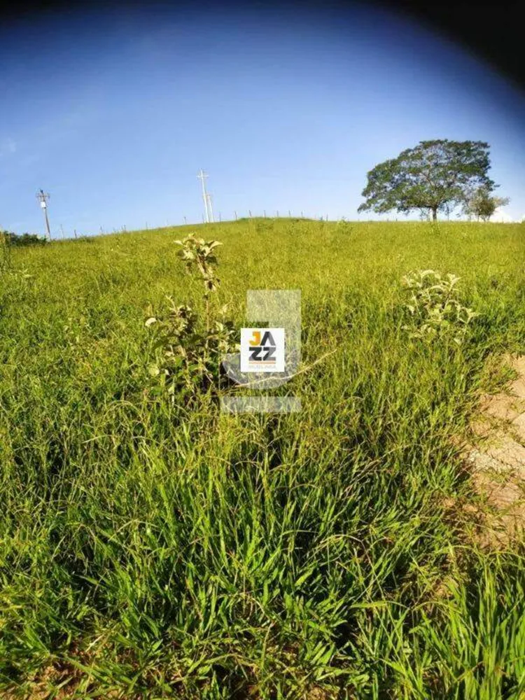 Sítio, 2 hectares - Foto 14