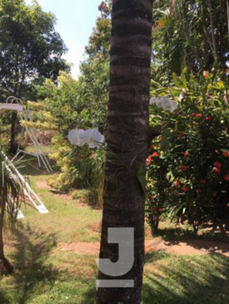 Chácara, 6 quartos, 5350 m² - Foto 6