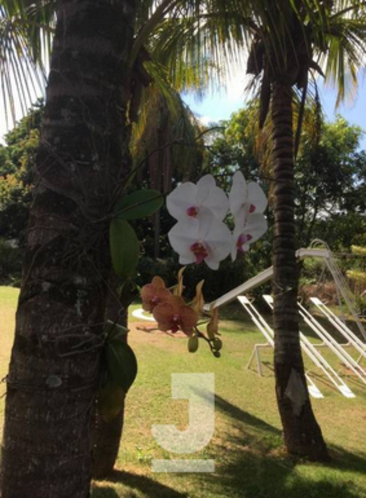 Chácara, 6 quartos, 5350 m² - Foto 4