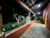 Casa, 3 quartos, 400 m² - Foto 4