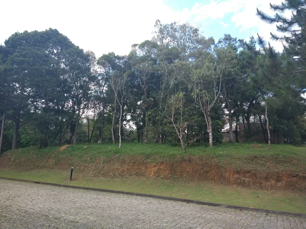 Terreno, 1500 m² - Foto 4