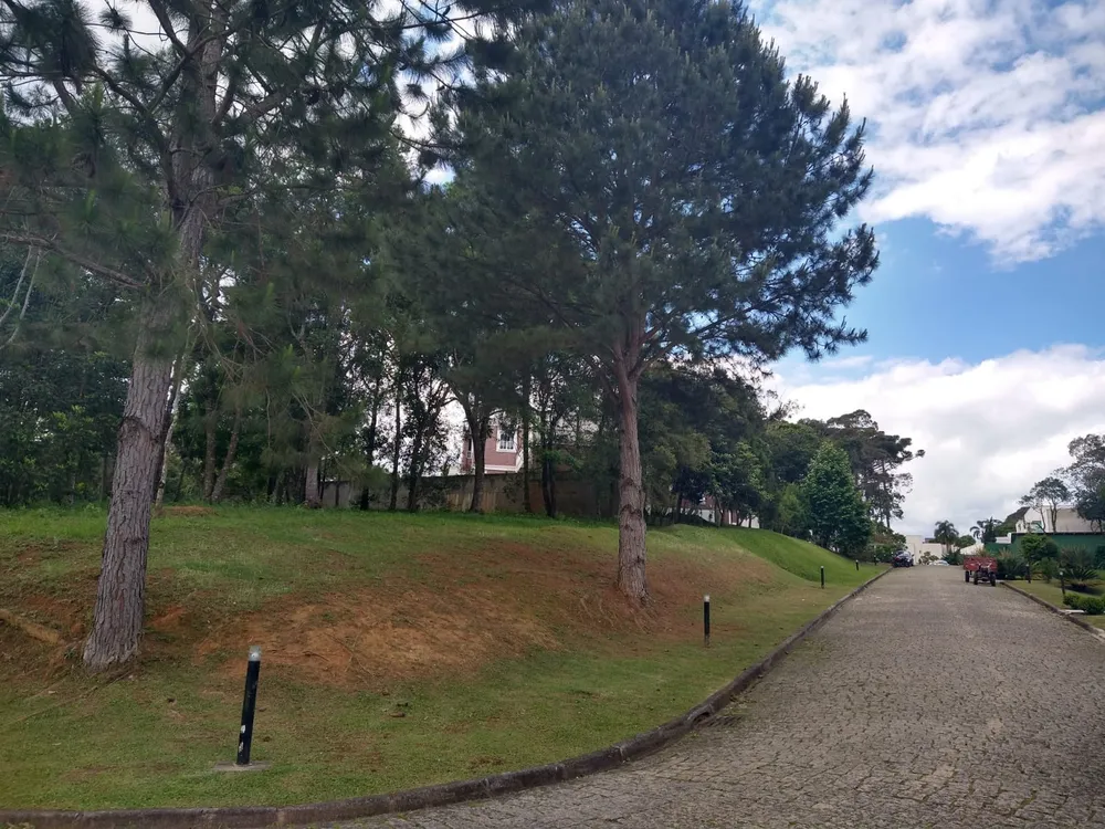 Terreno, 1500 m² - Foto 5