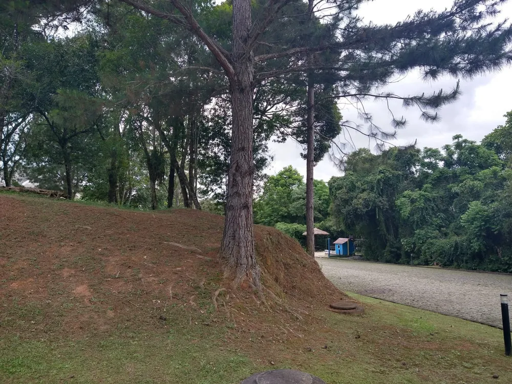 Terreno, 1500 m² - Foto 1