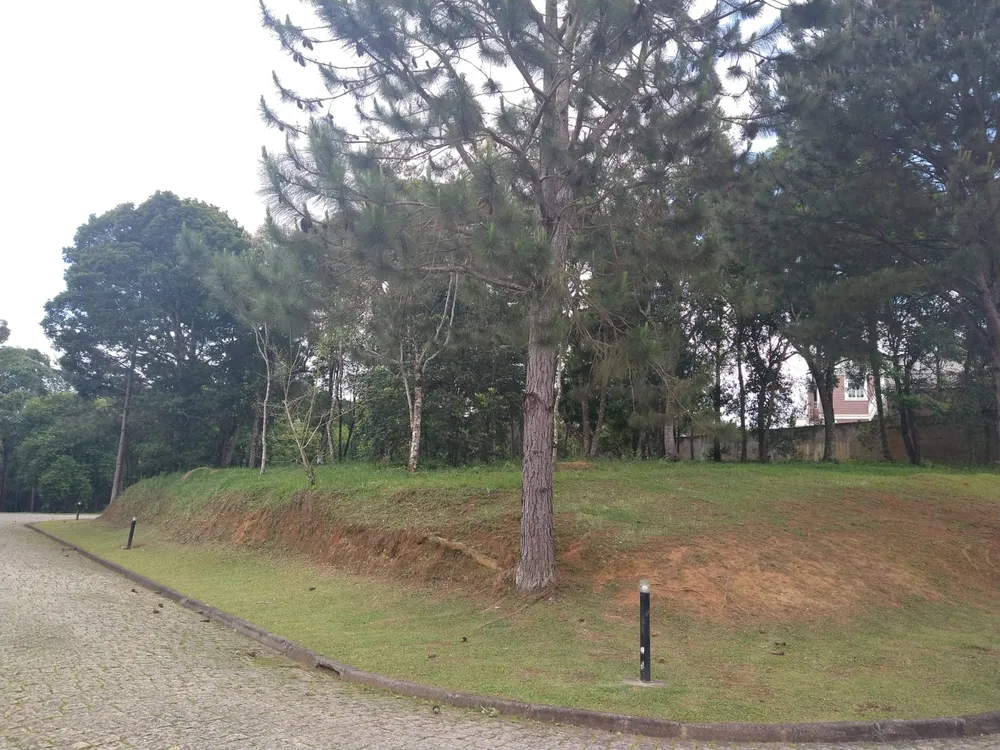 Terreno, 1500 m² - Foto 6